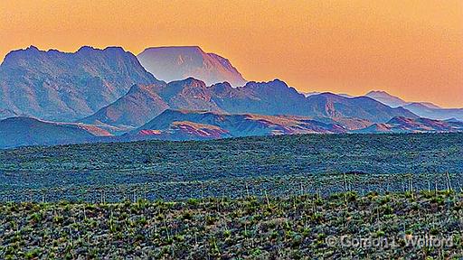Big Bend At Dawn_7329.jpg - Photographed in Big Bend National Park, Texas, USA.